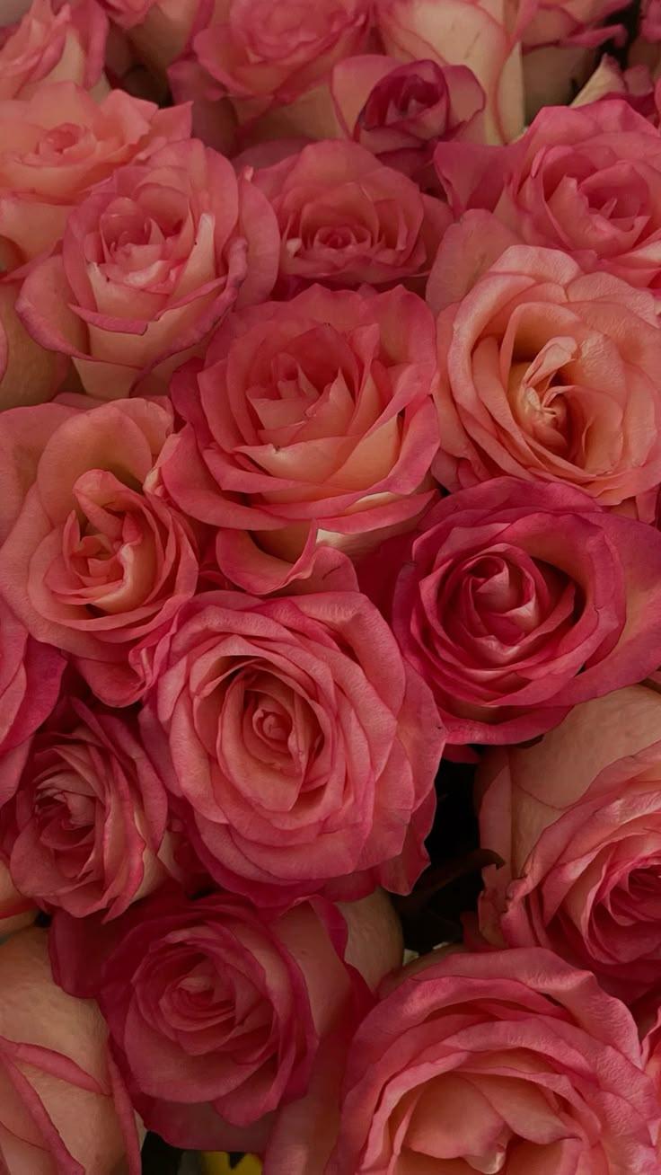 Harmony Hues: Symphony of Colorful Florals